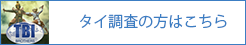 タイ調査の方はこちら